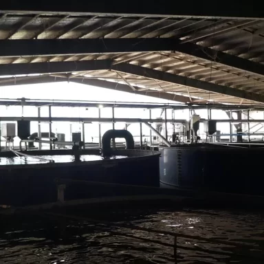 Humpty Doo Barramundi