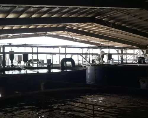 Humpty-Doo-Barramundi Humpty-Doo-Barramundi