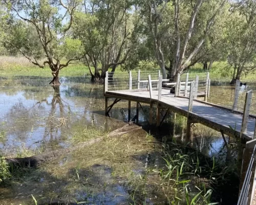 Parks-Wildlife-Assets-Condition-Report-Replacement-Items-scaled Parks-Wildlife-Assets-Condition-Report-Replacement-Items-scaled